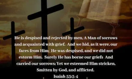 The Cross 101