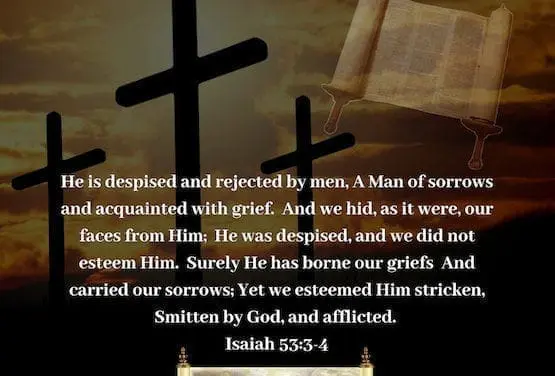 The Cross 101