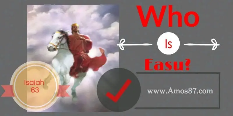 Edom is Esau (Origins of the Palestinian Conflict)