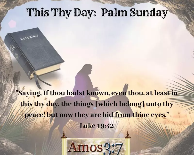 This Thy Day