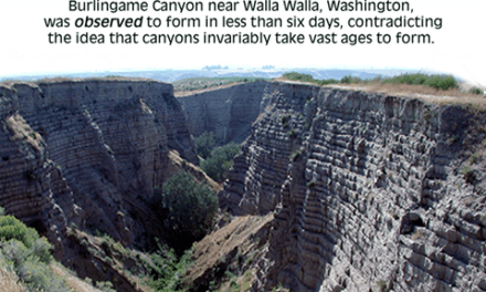 Mount St. Helens: Explosive Evidence