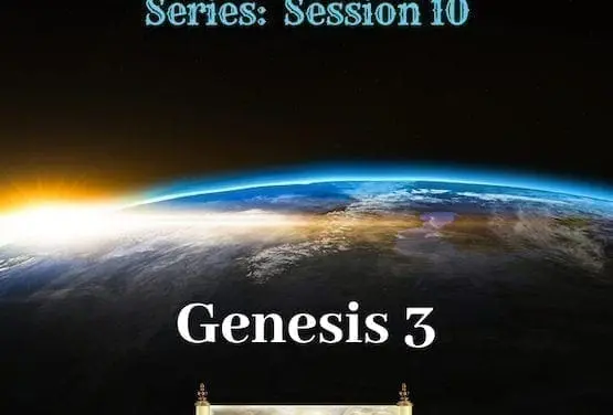Cornerstone Discipleship Series 1-11 Session 10