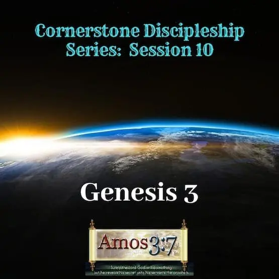 Cornerstone Discipleship Series 1-11 Session 10