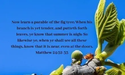 Parable of the Fig Tree