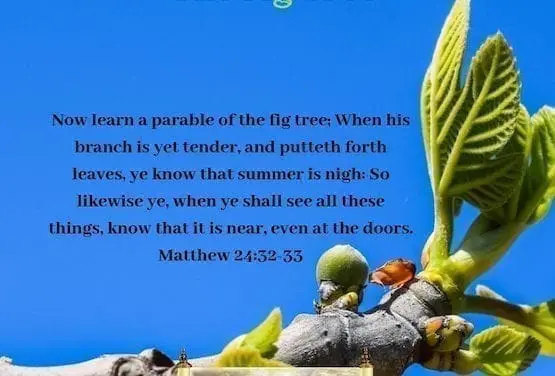 Parable of the Fig Tree
