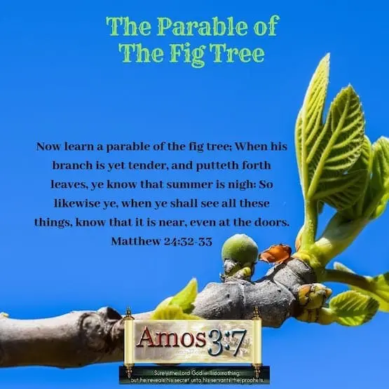 Parable of the Fig Tree