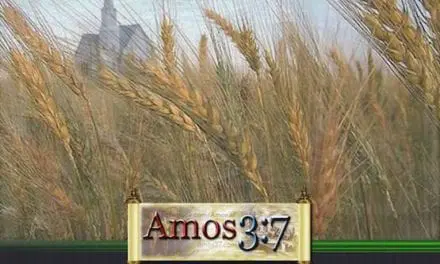 Kingdom Parables Session 04
