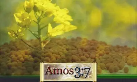 Kingdom Parables Session 05