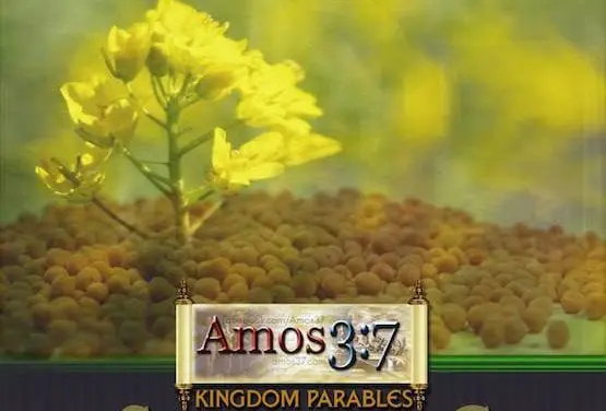 Kingdom Parables Session 05