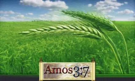 Kingdom Parables Session 02