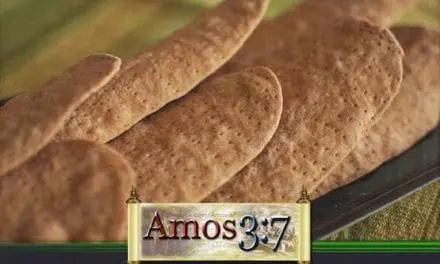 Kingdom Parables Session 06