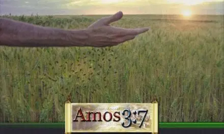 Kingdom Parables Session 03