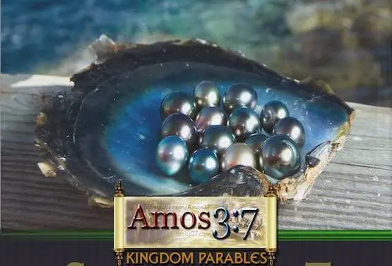 Kingdom Parables Session 08