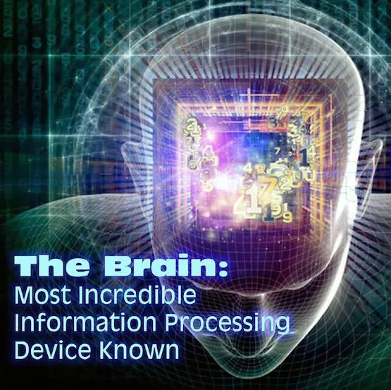 Predictive Programming Agenda & Human Microchipping