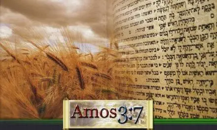 Holy Days: Pentecost