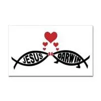 Evolution Sunday Weekend Exposed