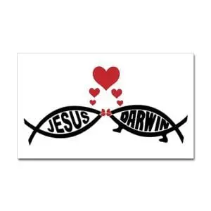 Evolution Sunday Weekend Exposed