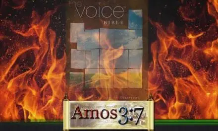 The Voice Translation: Who’s Voice?