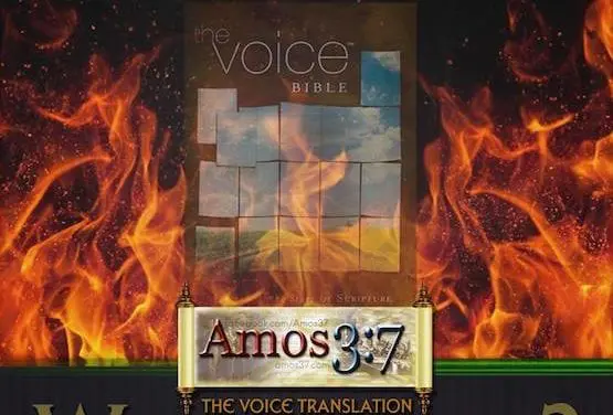 The Voice Translation: Who’s Voice?