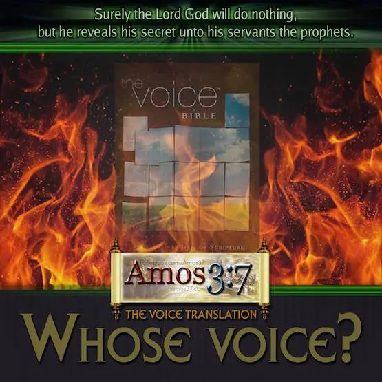 The Voice Translation: Who’s Voice?