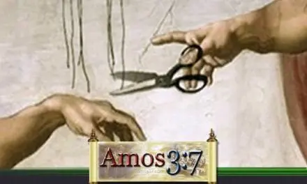Predestination vs. Free Will: Another Look