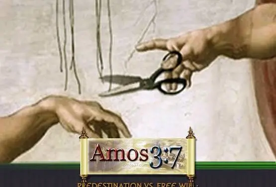Predestination vs. Free Will: Another Look