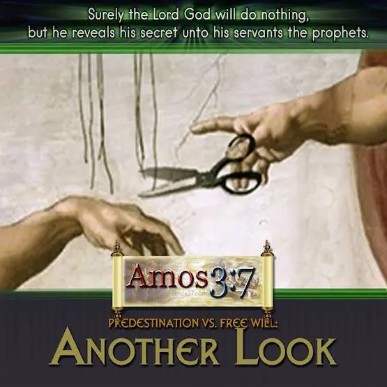 Predestination vs. Free Will: Another Look