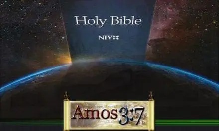 NIV New World Order