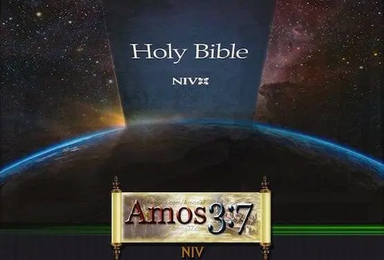 NIV New World Order