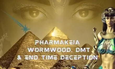 Drug Use in The End Times and it’s Connection to Pharmakeia & Wormwood