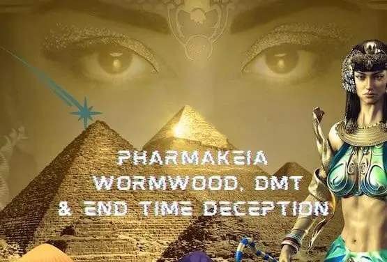 Drug Use in The End Times and it’s Connection to Pharmakeia & Wormwood