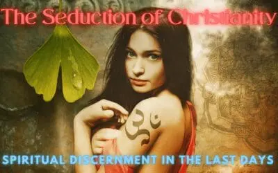 The New Age Guide to the New Spirituality and Spiritual Seduction in The Church