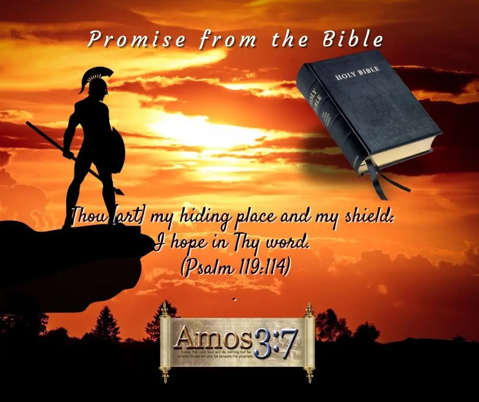 Gods Promises, Psalm 119:114, My Hiding Place, Shield of Faith, Hope in God's Word,