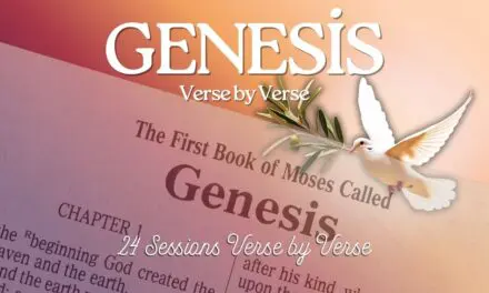 The Book of Genesis Verse by Verse Bible Study