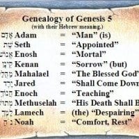 Gospel Hidden in Genesis | Amos37