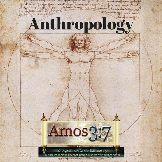 Antropology,doctrine,study of man,theology,
