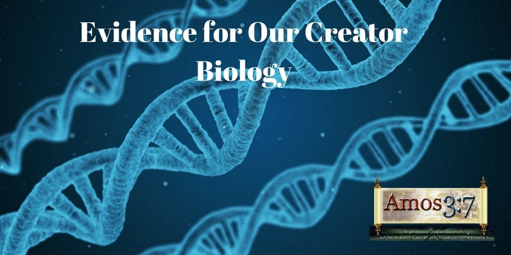 Creation Videos,Evidence for Creation,observational science,evolution,apologetics,DNA,cell biology,observational science,