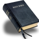 Amos 3:7